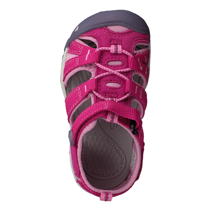 Seacamp Ii Cnx Tots Very Berry/lilac Chiffon