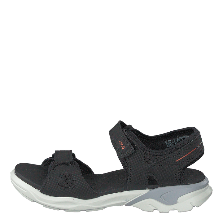 Biom Raft Black