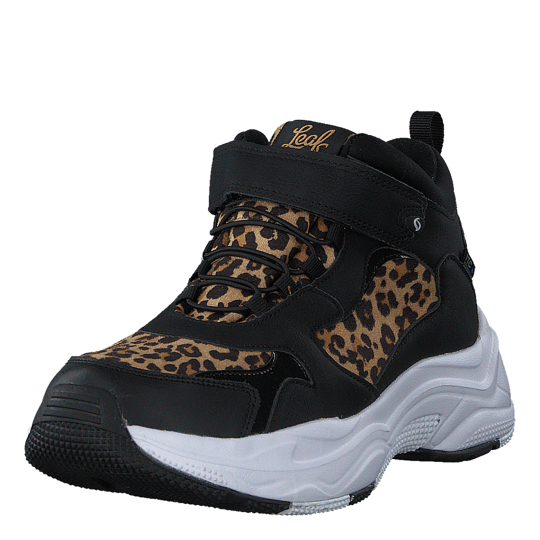 Narken Leopard