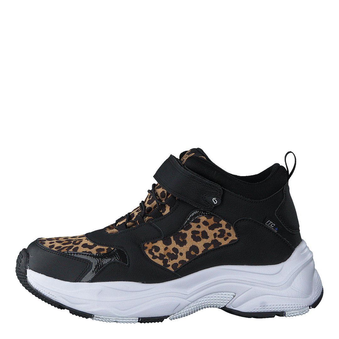 Narken Leopard