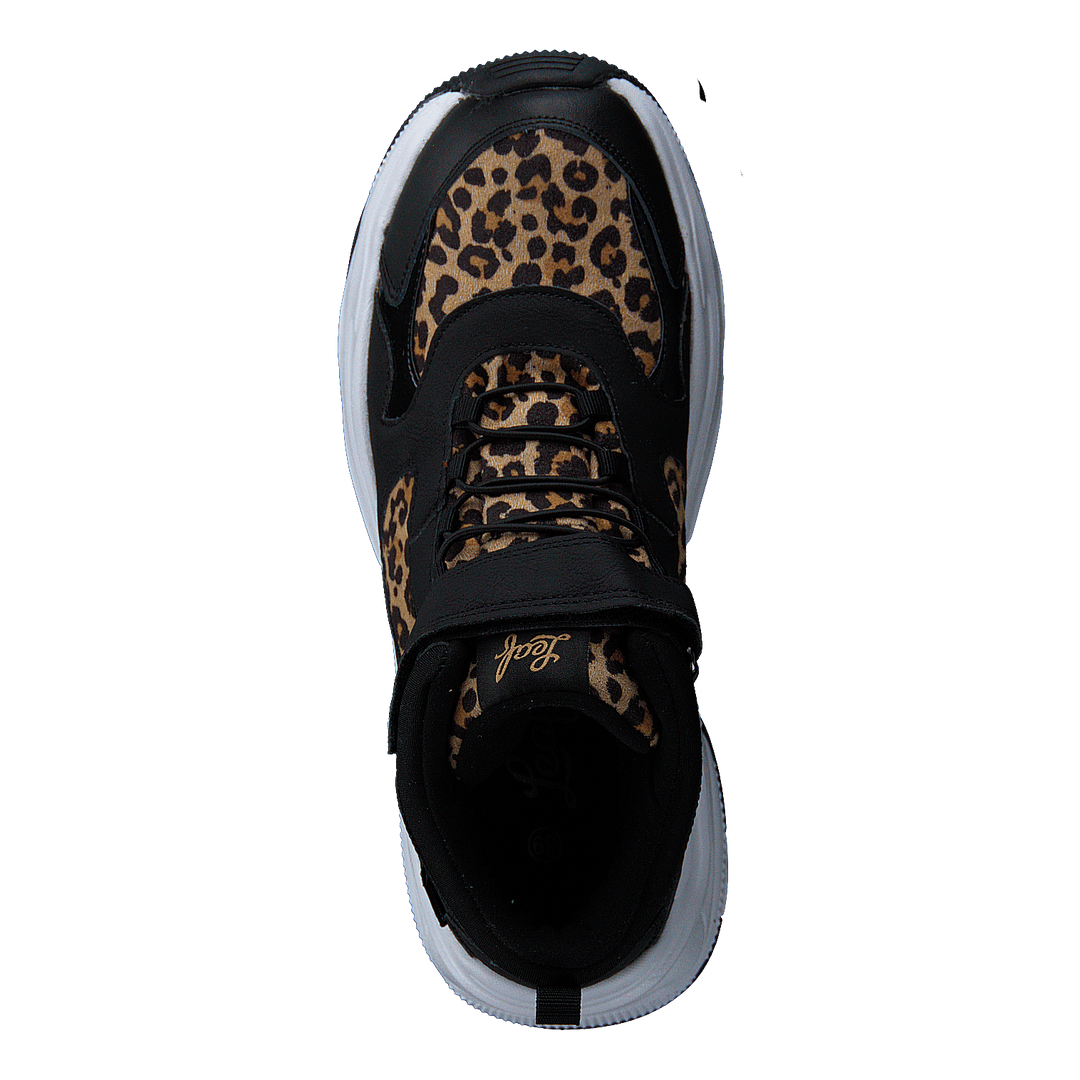 Narken Leopard