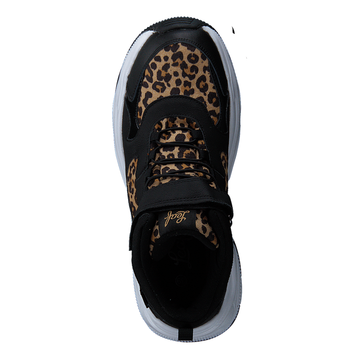 Narken Leopard