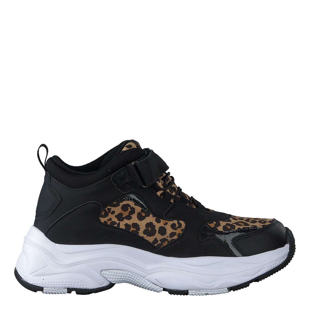 Narken Leopard