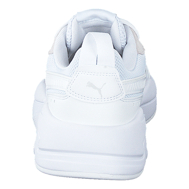 X-ray Puma White-gray Violet