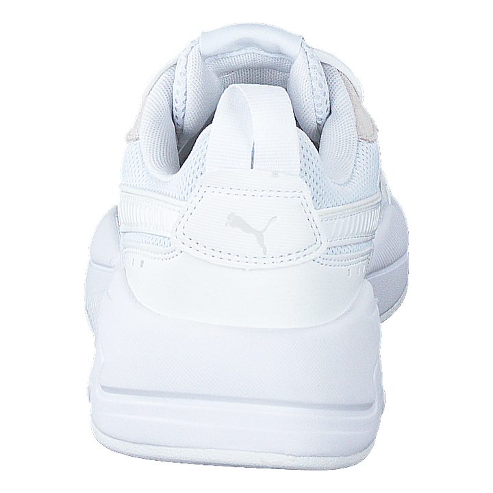 X-ray Puma White-gray Violet