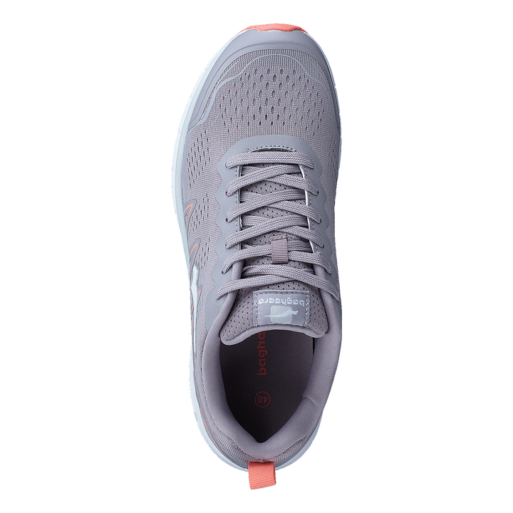 Storm Lavender/pink