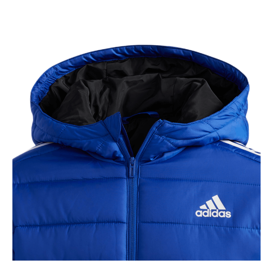 Puffer Jacket Team Royal Blue