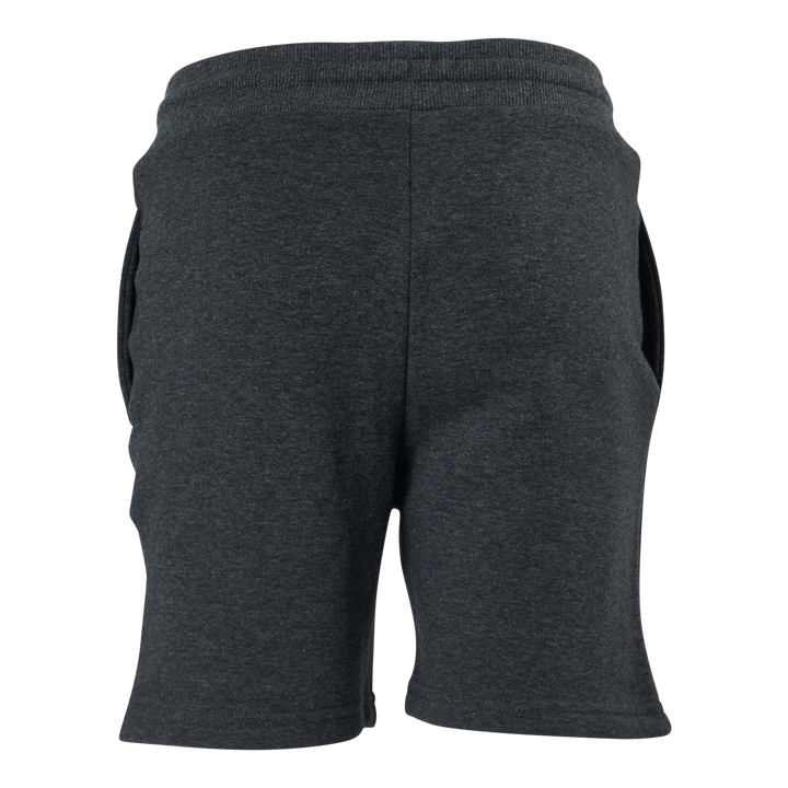 Eija Shorts Grey