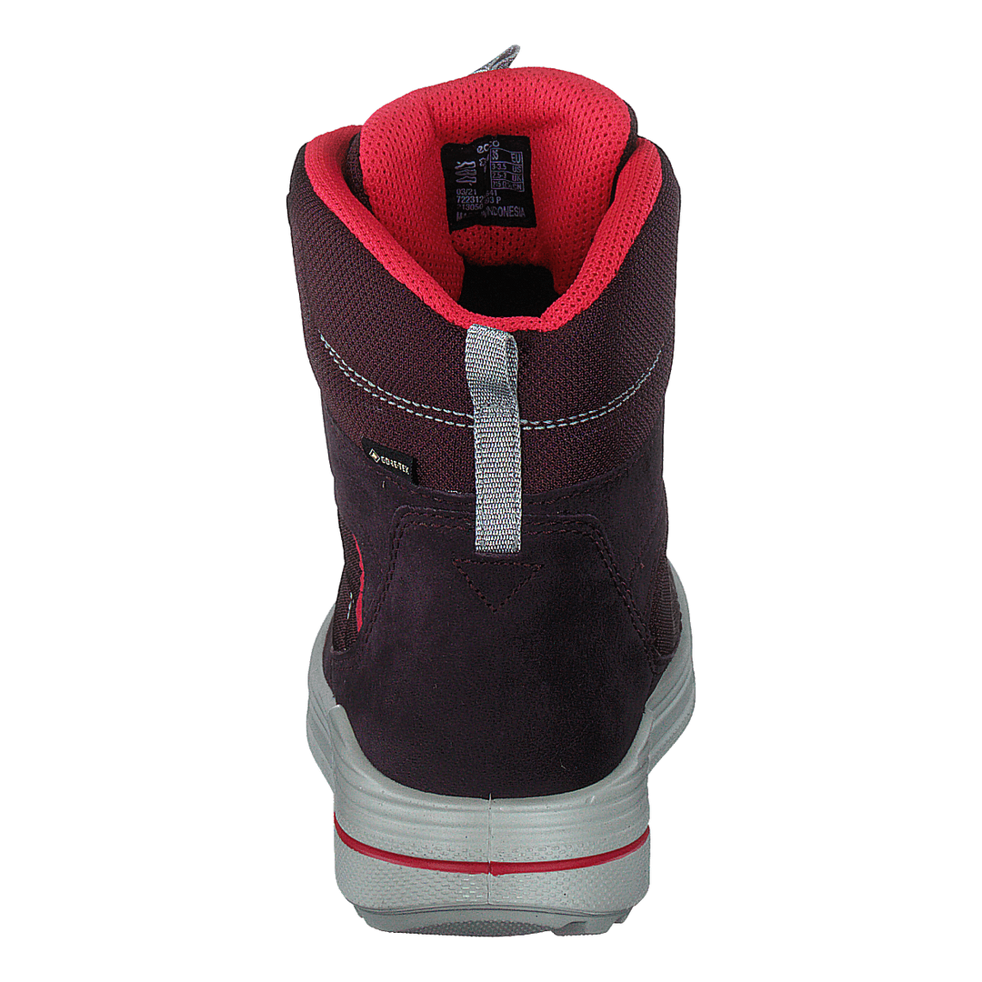 Ecco Urban Snowboarder Fig/teaberry