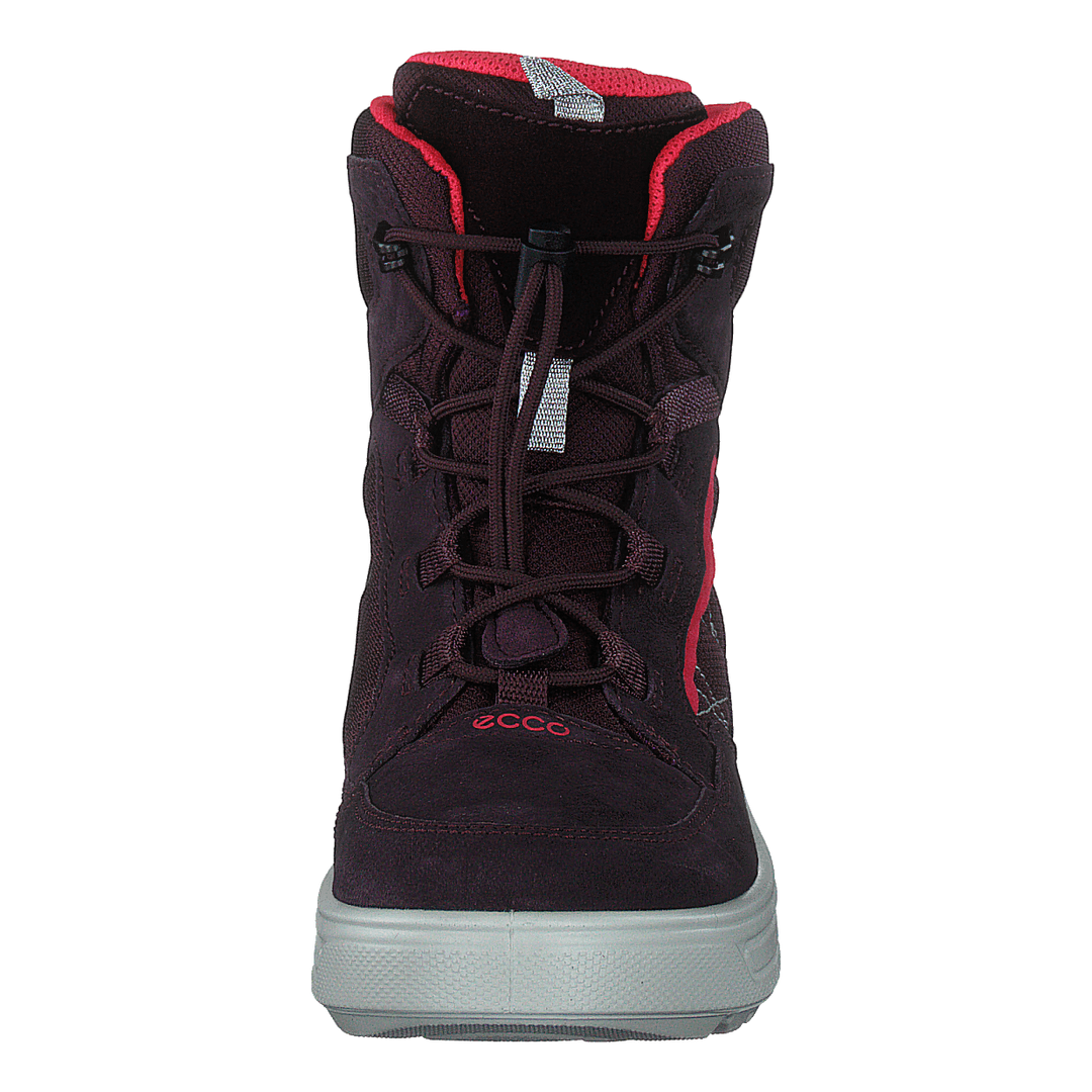 Ecco Urban Snowboarder Fig/teaberry
