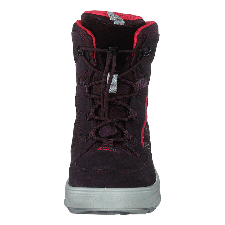 Ecco Urban Snowboarder Fig/teaberry