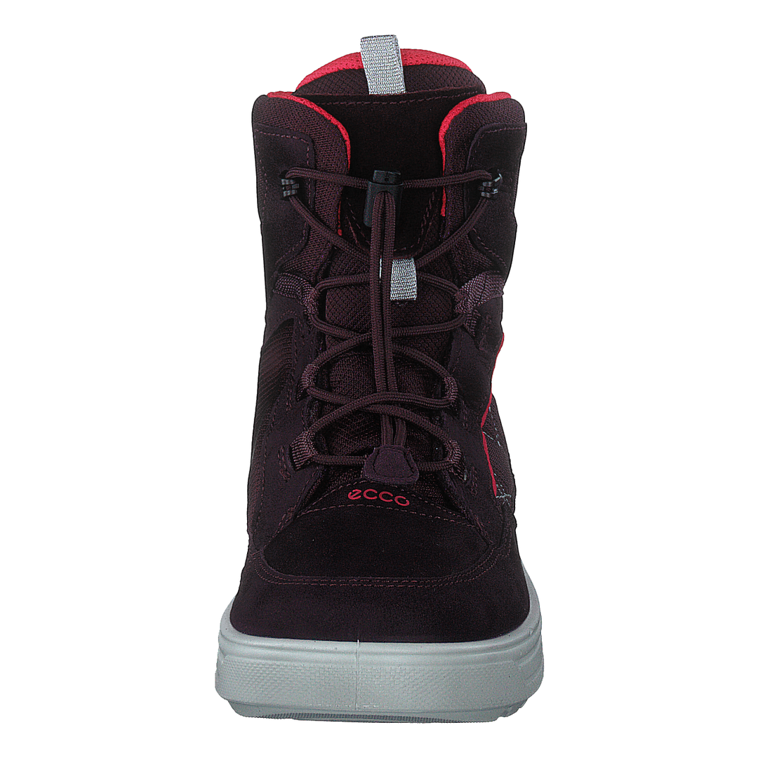 Ecco Urban Snowboarder Fig/teaberry