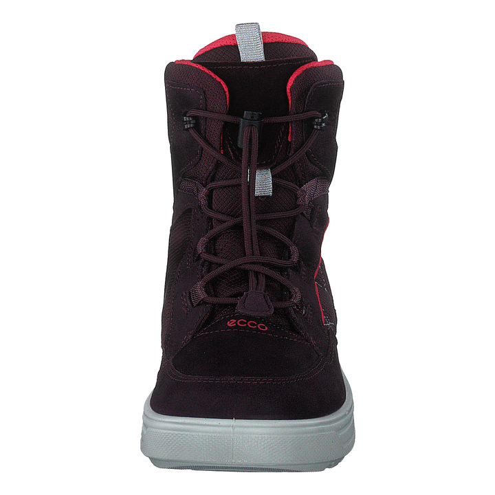 Ecco Urban Snowboarder Fig/teaberry