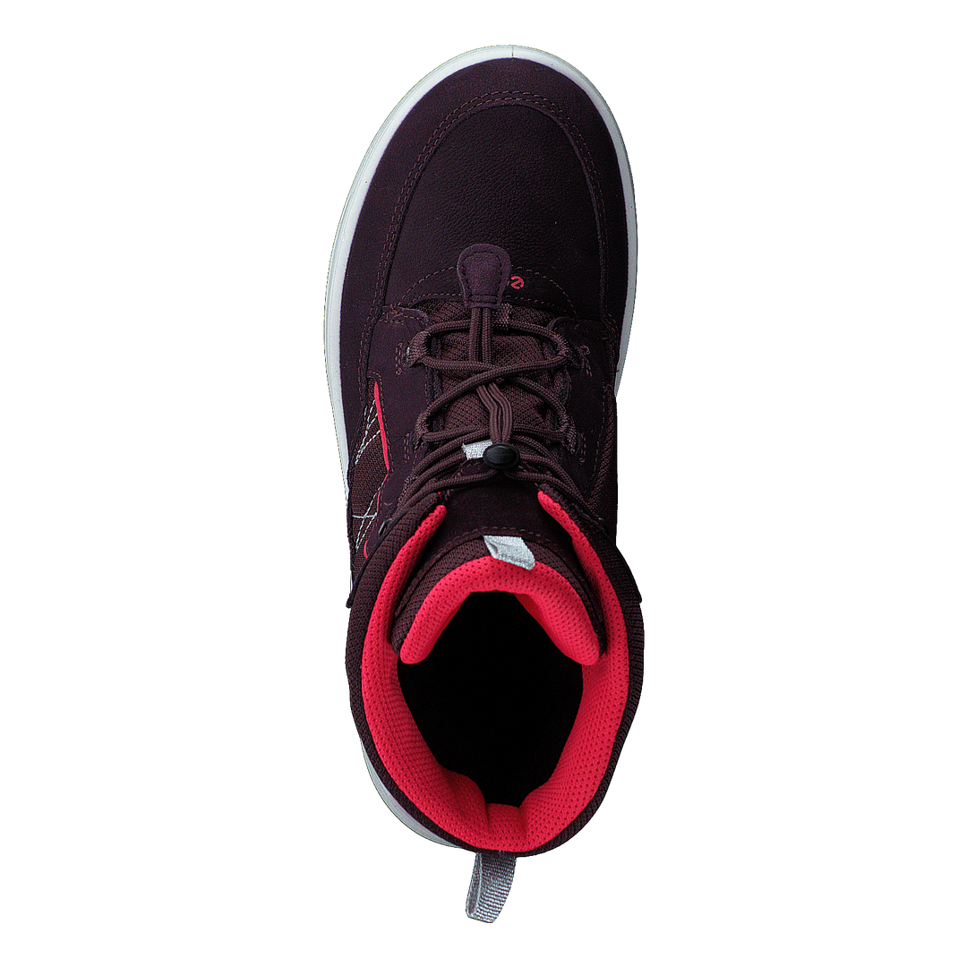 Ecco Urban Snowboarder Fig/teaberry