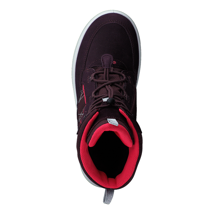 Ecco Urban Snowboarder Fig/teaberry