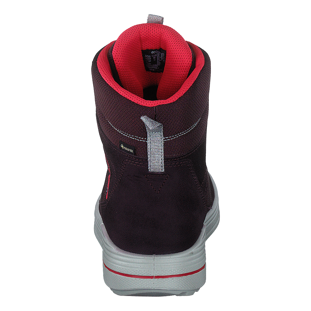 Ecco Urban Snowboarder Fig/teaberry