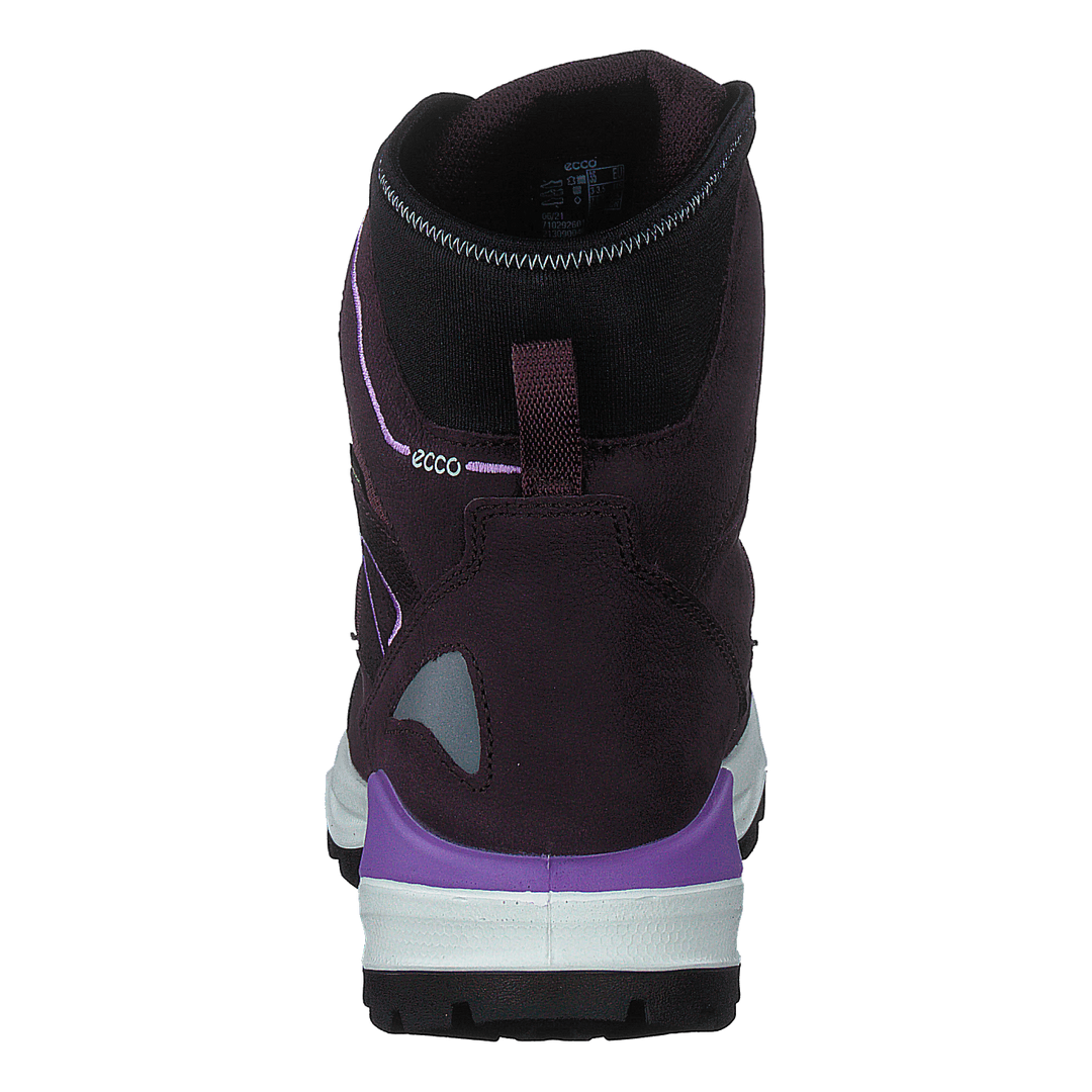 Ecco Snow Mountain Black/fig/fig