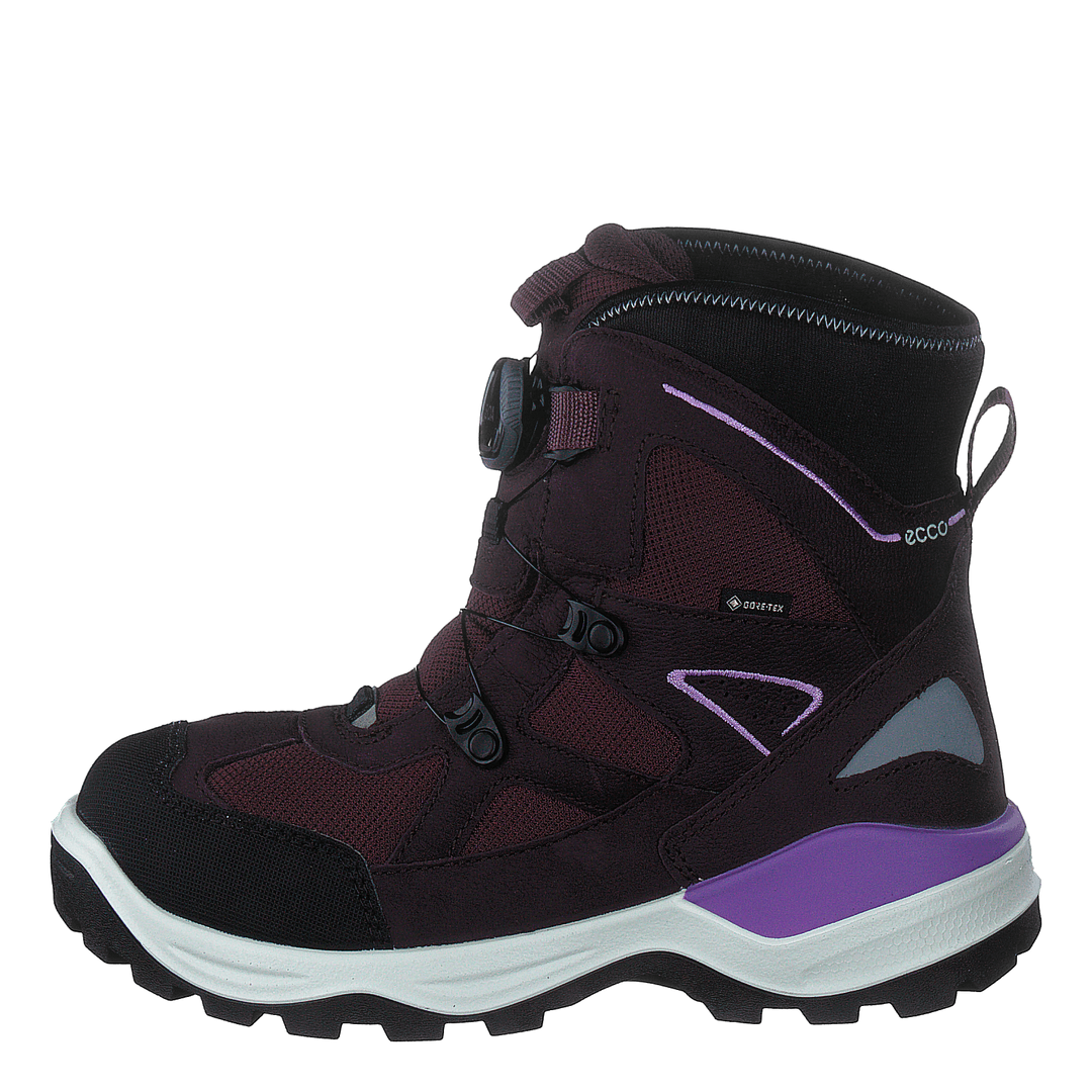 Ecco Snow Mountain Black/fig/fig
