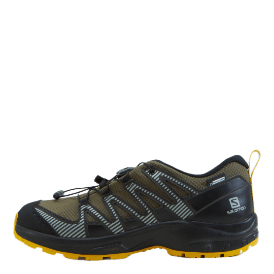 Salomon xa pro 3d best sale cswp j