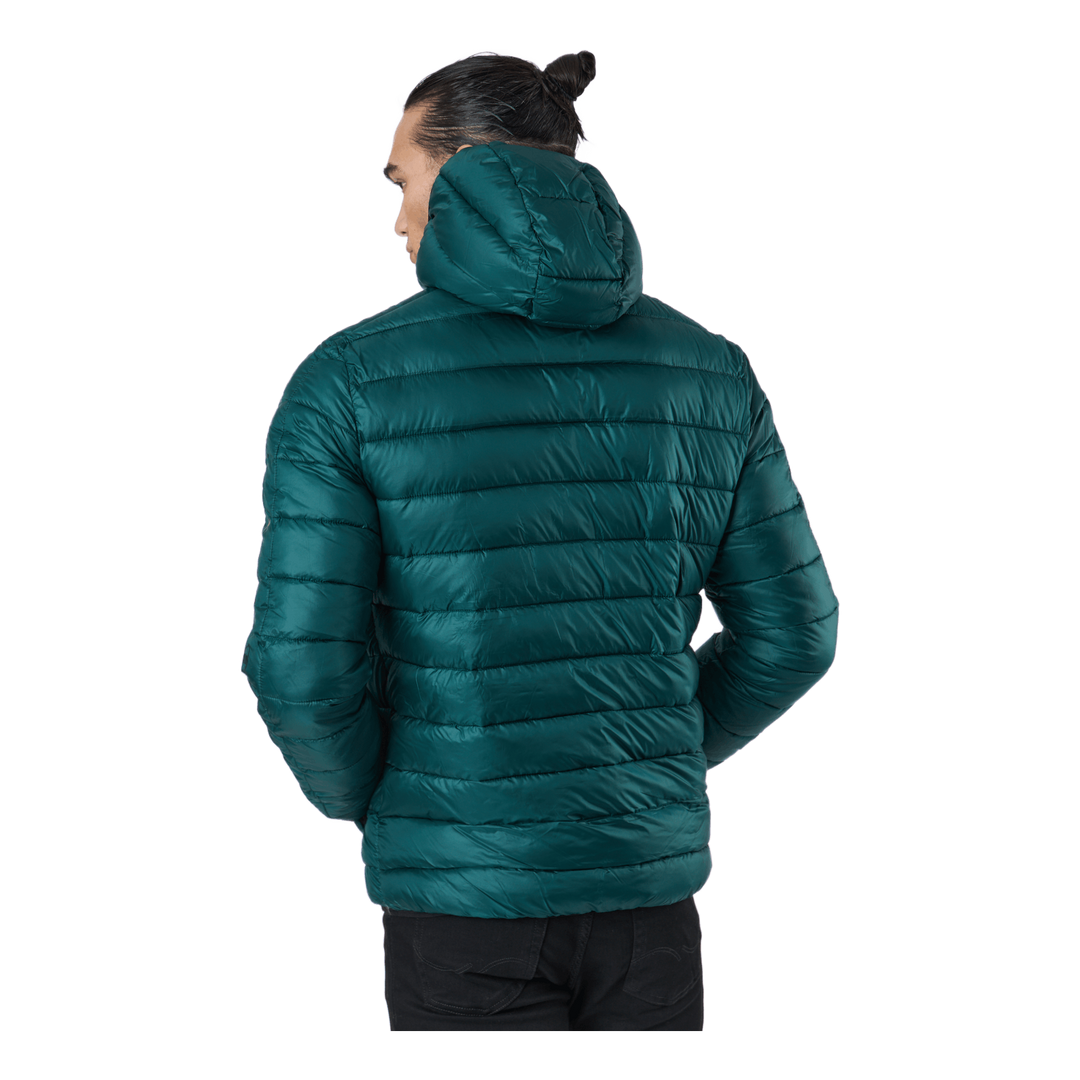 Hooded Jacket Rain Forest