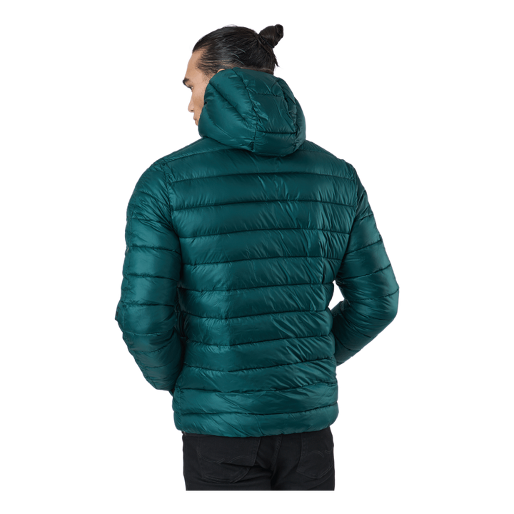 Hooded Jacket Rain Forest