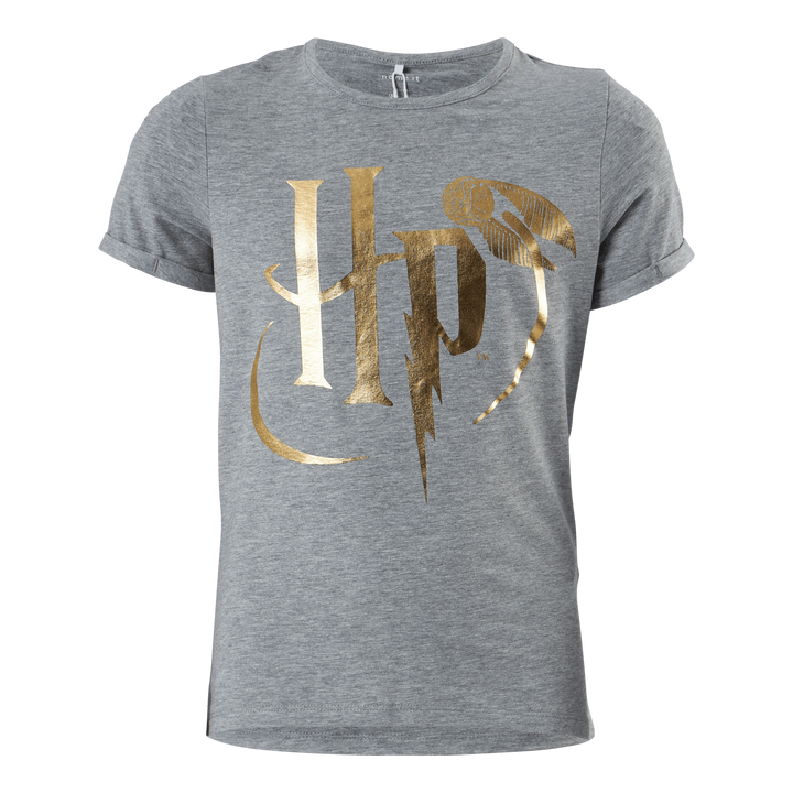 Nkfharrypotter Axa Ss Top Wab Grey Melange