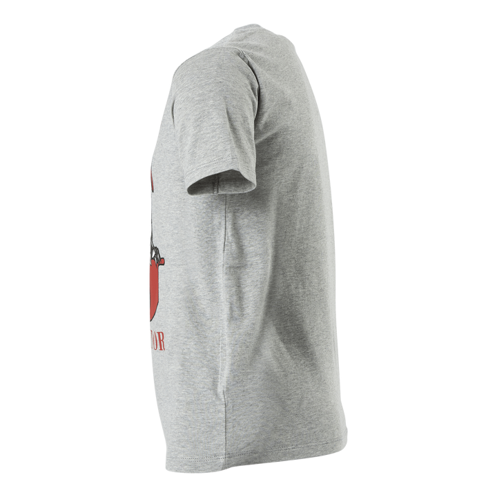 Nkmharrypotter Ron Ss Top Wab Grey Melange