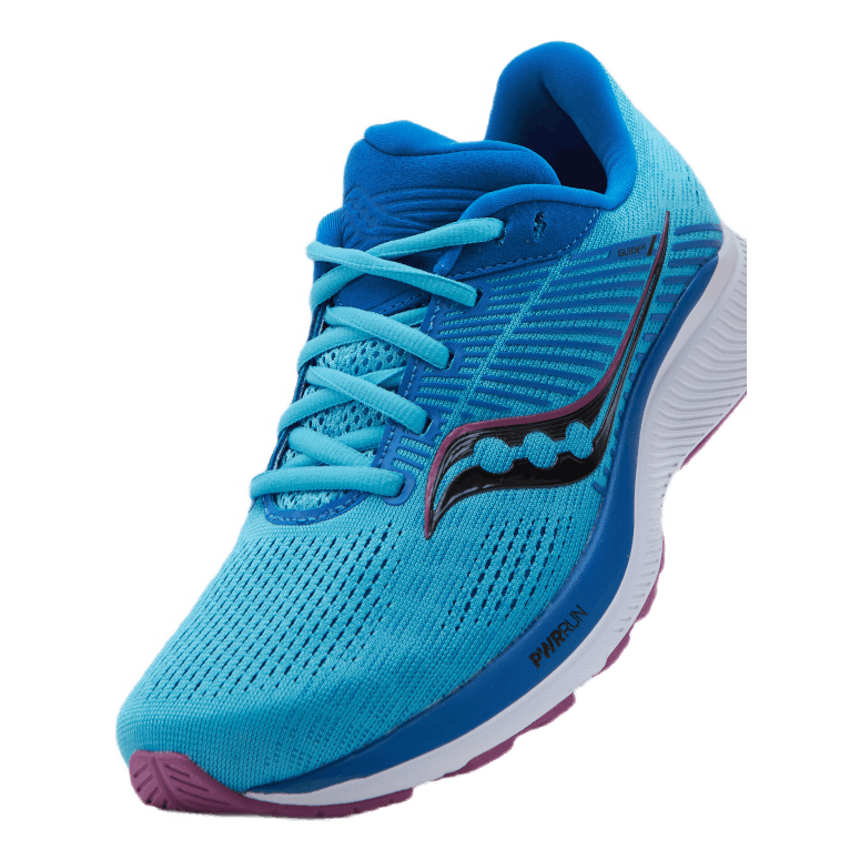 Guide 14 Blue Blaze/berry