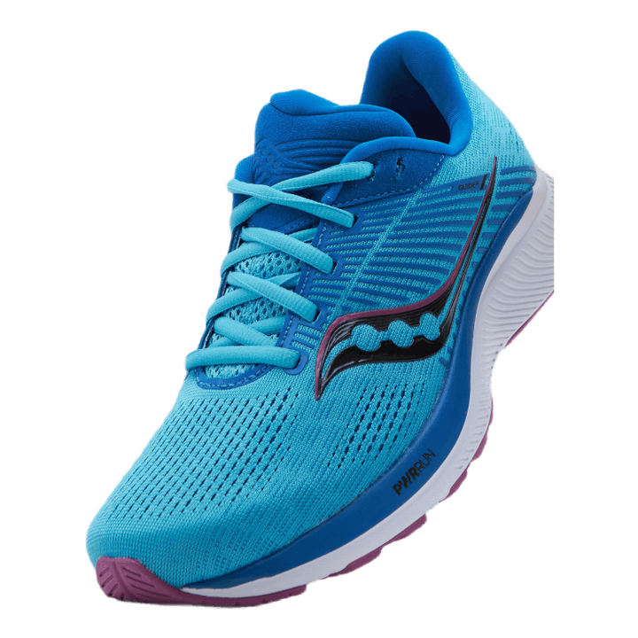 Guide 14 Blue Blaze/berry