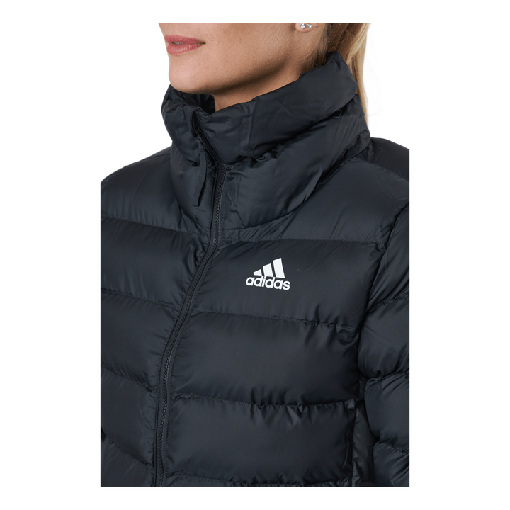 W Itavic M H J Black