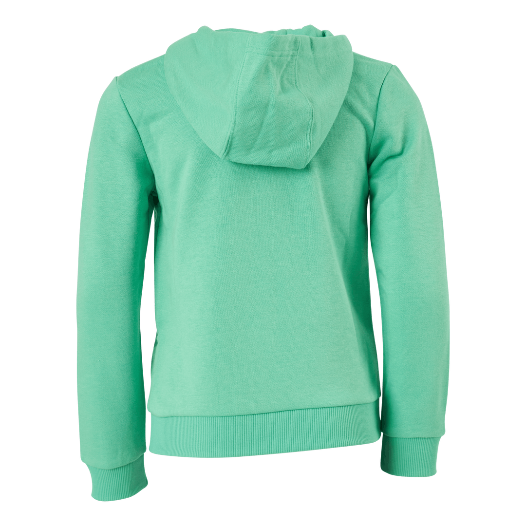 Adidas Boys Essentials Big Logo Hoodie Semi Screaming Green / Black