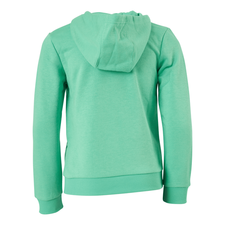 Adidas Boys Essentials Big Logo Hoodie Semi Screaming Green / Black