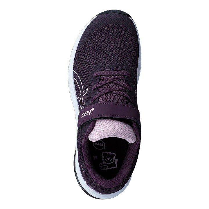 Gt-1000 11 Ps Deep Plum/barely Rose
