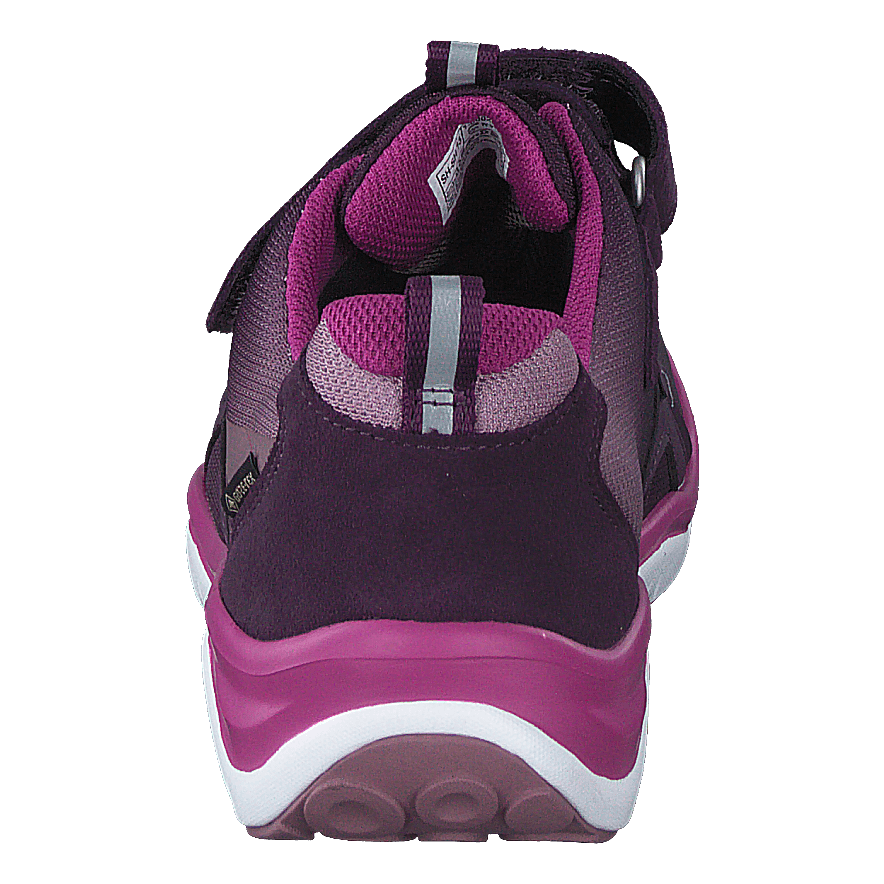 Sport5 GTX Low Purple
