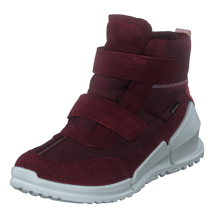 Ecco Biom K Morillo/morillo/chili Red