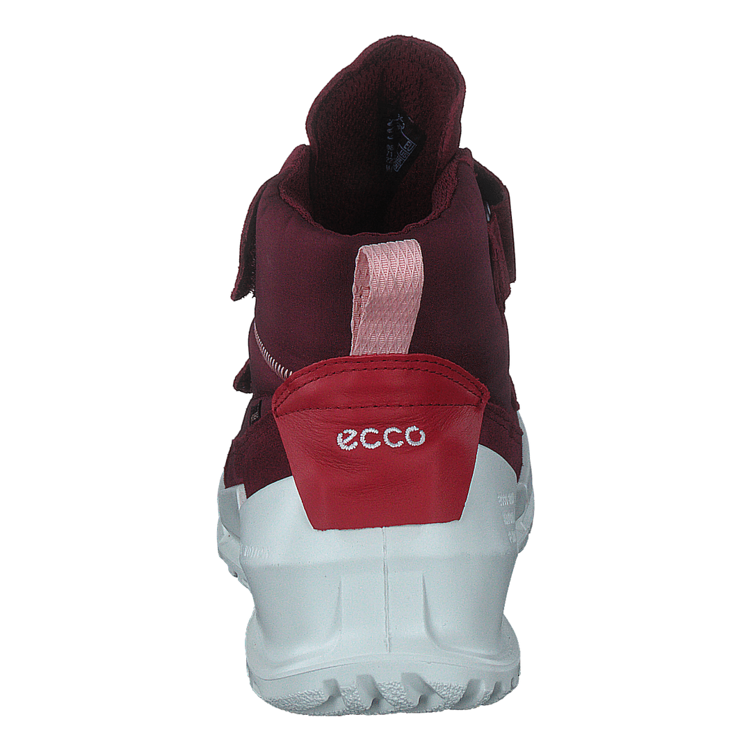Ecco Biom K Morillo/morillo/chili Red