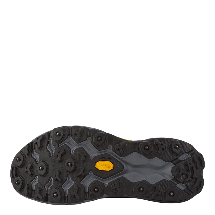 W Speedgoat 5 Gtx Ice Black / Black