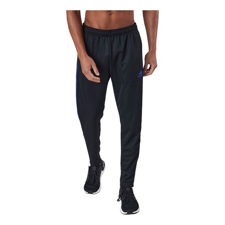 Tiro Tr Pnt Es Black/royblu