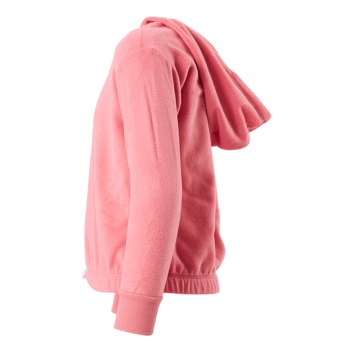 Hooded Sweatshirt Ps171