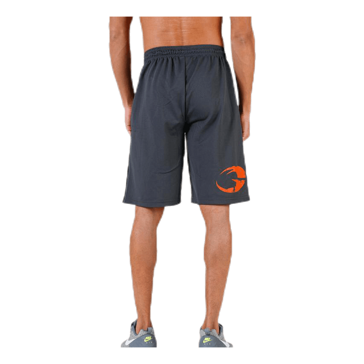 Pro mesh shorts Grey