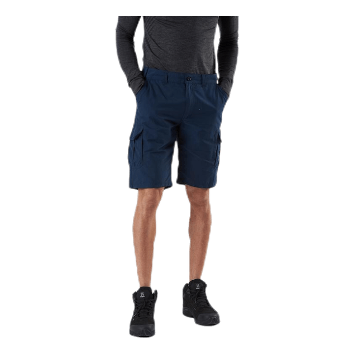 Tom Shorts Blue