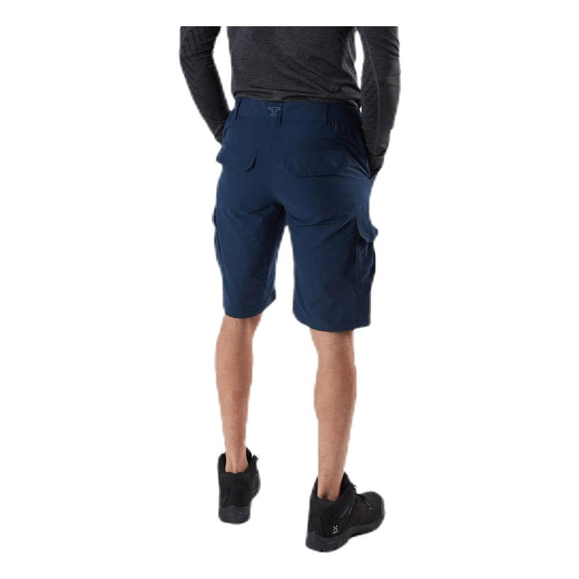 Tom Shorts Blue