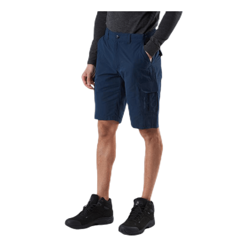 Tom Shorts Blue