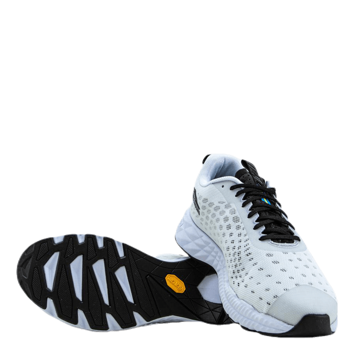 Greyhound White/Black