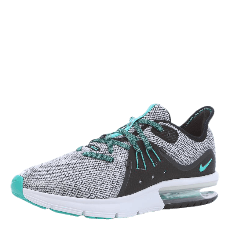 Nike air max 2025 sequent 3 on feet