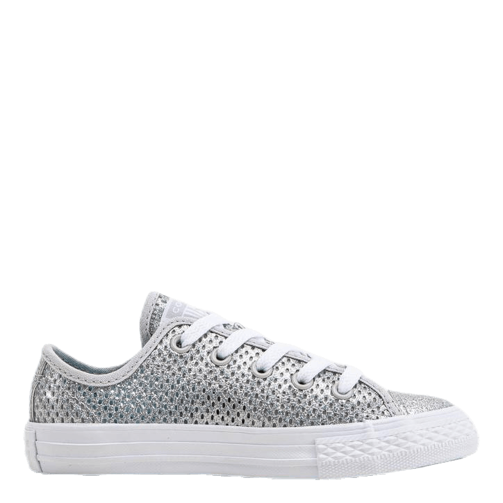 Chuck Taylor All Star Mesh Silver