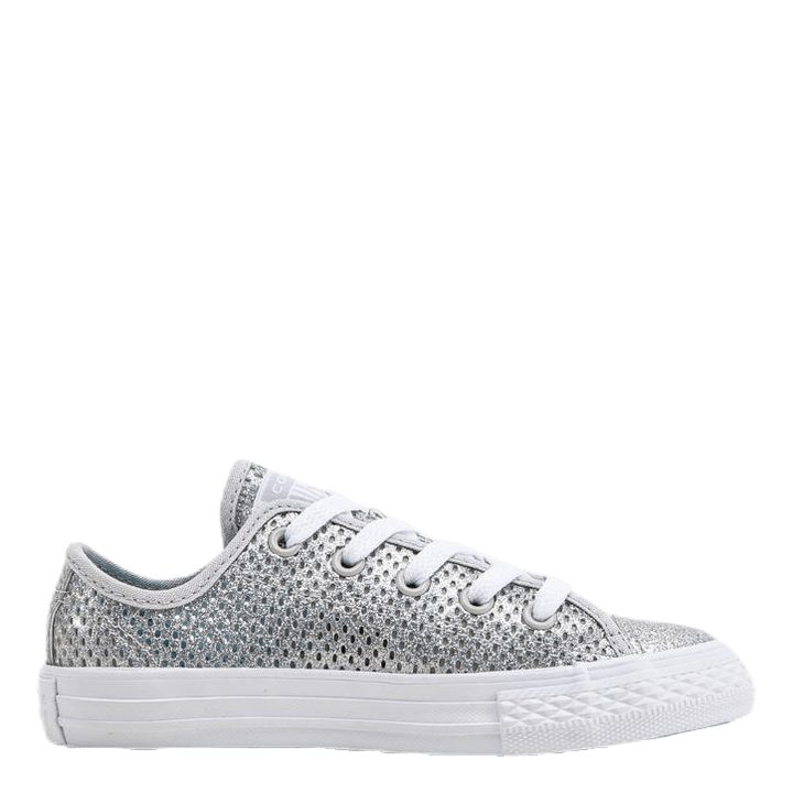 Chuck Taylor All Star Mesh Silver