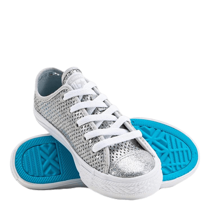 Chuck Taylor All Star Mesh Silver