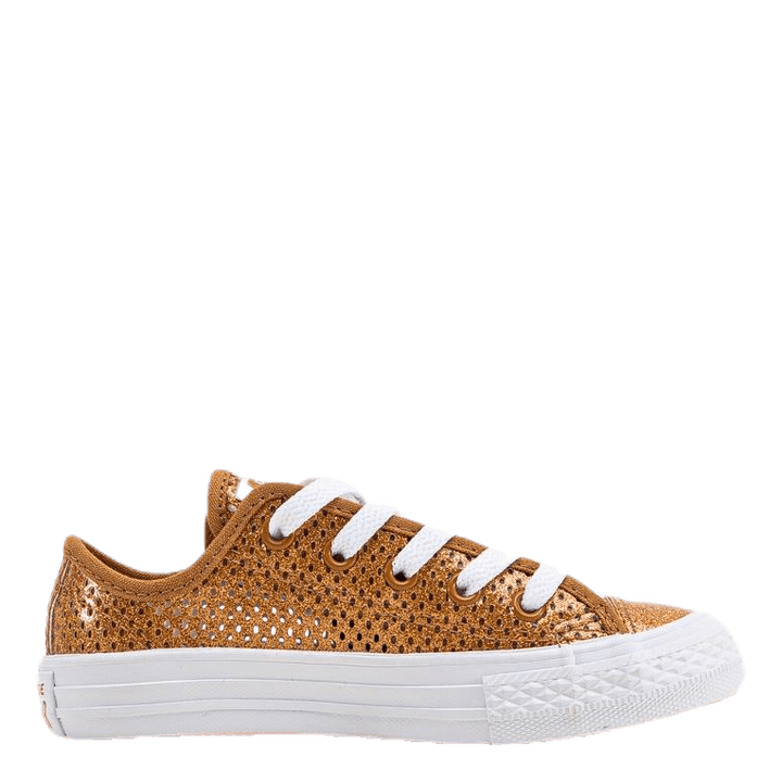 Chuck Taylor All Star Mesh Brown