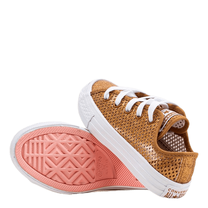 Chuck Taylor All Star Mesh Brown